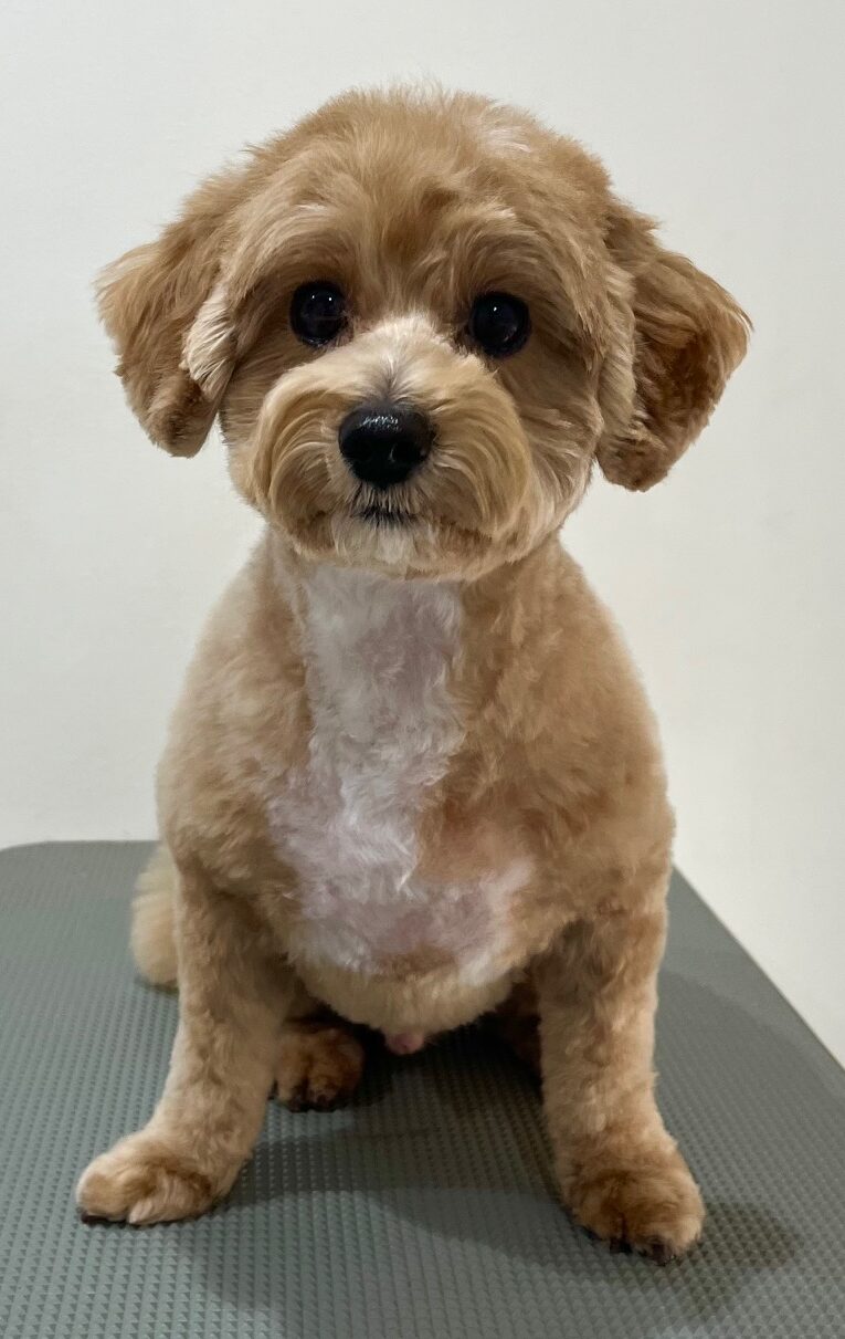 2025-12-16%e6%9d%be%e5%b4%8e%e3%83%a2%e3%83%8a%e3%82%ab