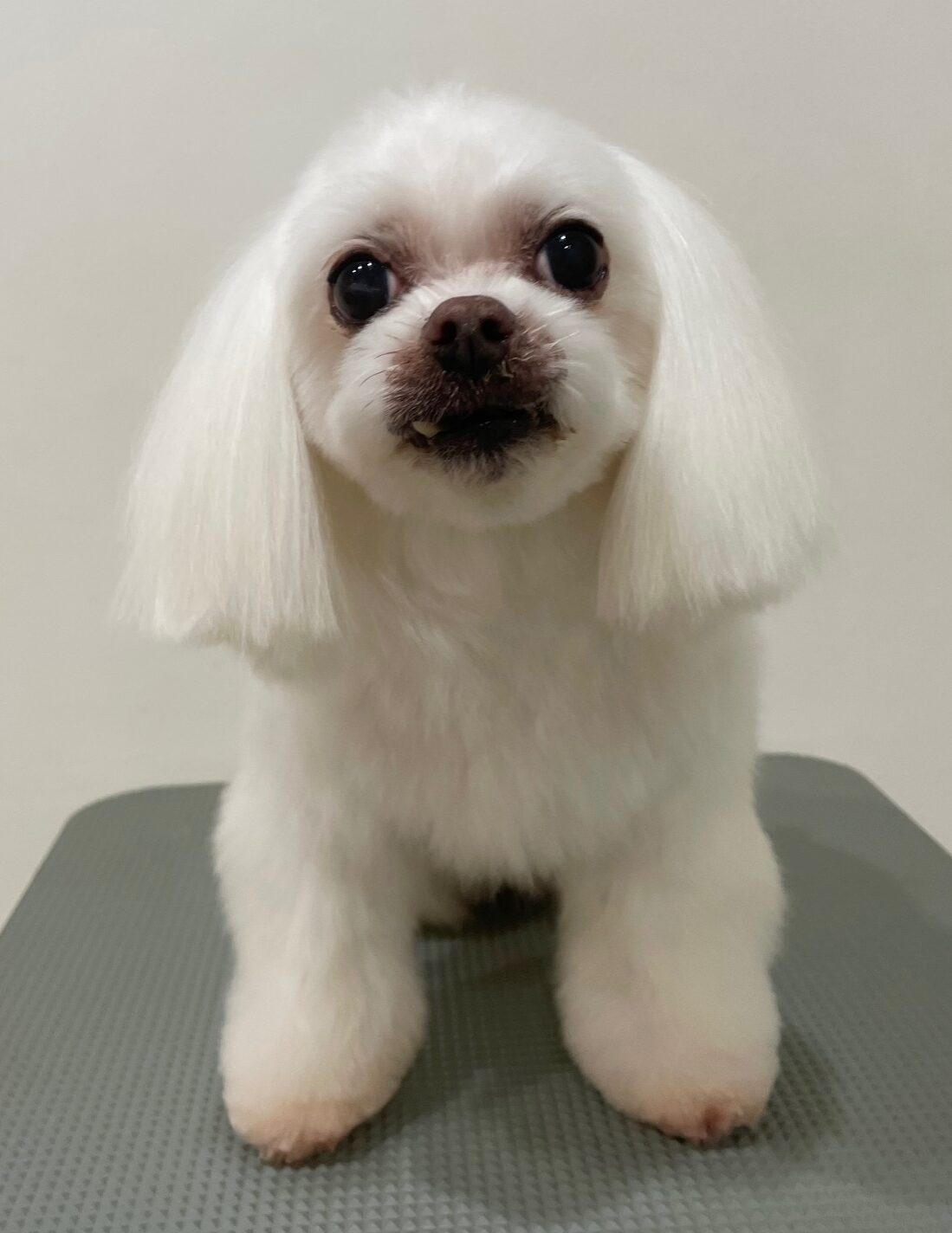 2025-12-16%e9%95%b7%e7%94%b0%e3%83%9e%e3%83%ab