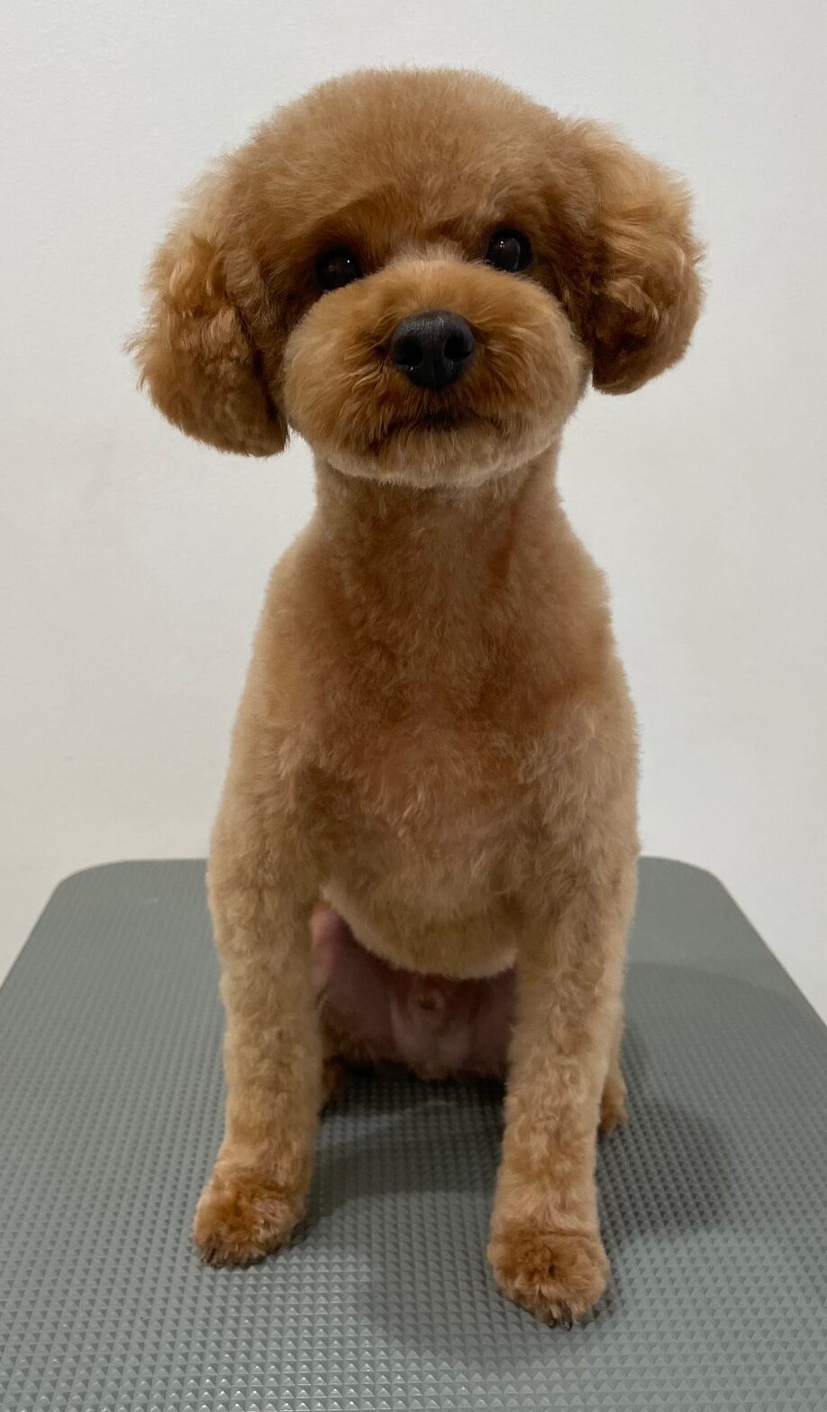 2025-12-17%e5%9f%8e%e5%b3%b6%e3%83%97%e3%83%97