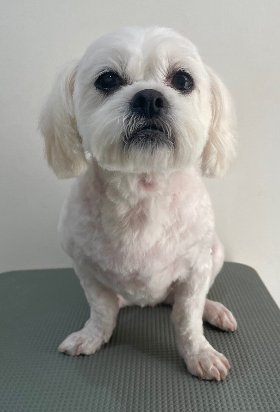 2025-12-17%e5%a4%a7%e5%b7%9ddonna