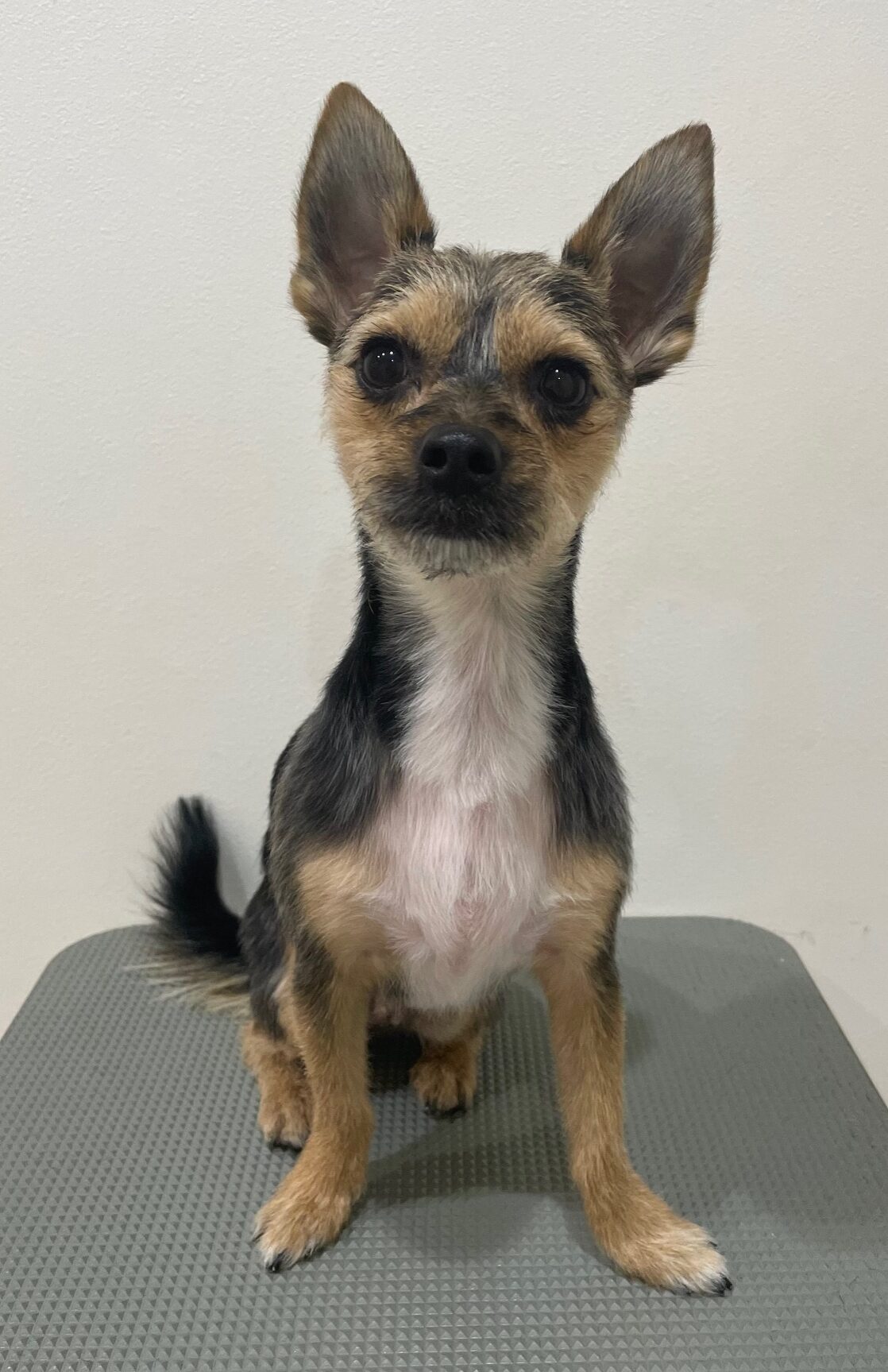 2025-12-17%e6%9d%89%e5%b4%8e%e3%82%89%e3%81%84