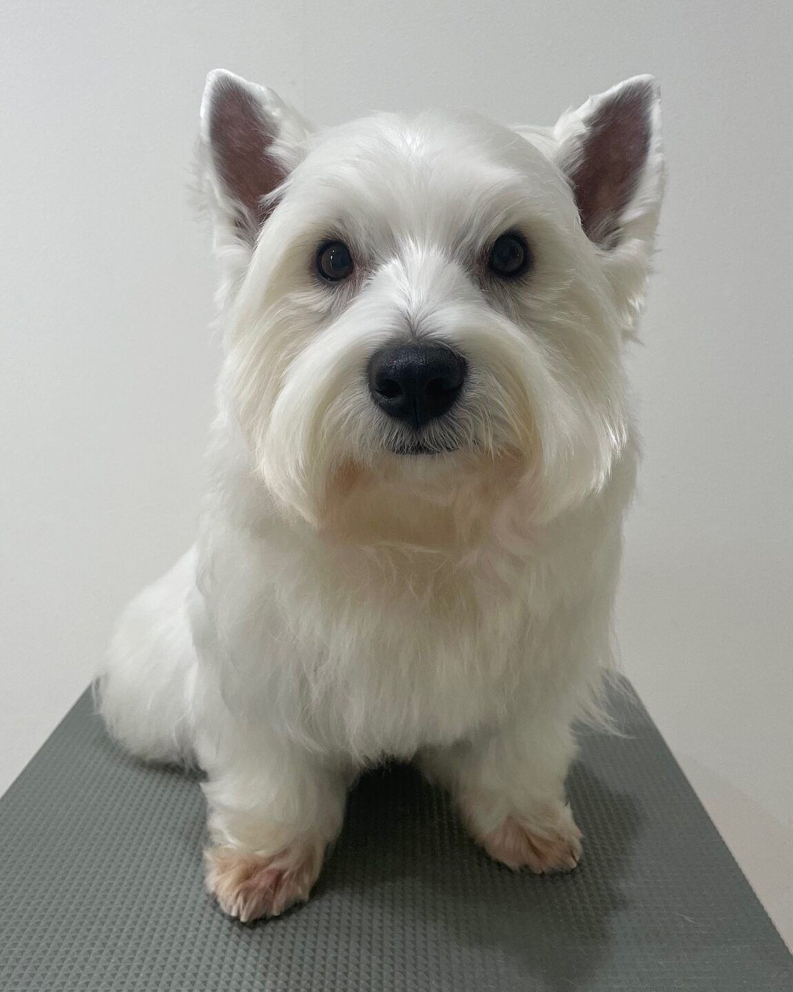 2025-12-17%e8%b6%b3%e7%ab%8b%e3%83%a2%e3%82%a2