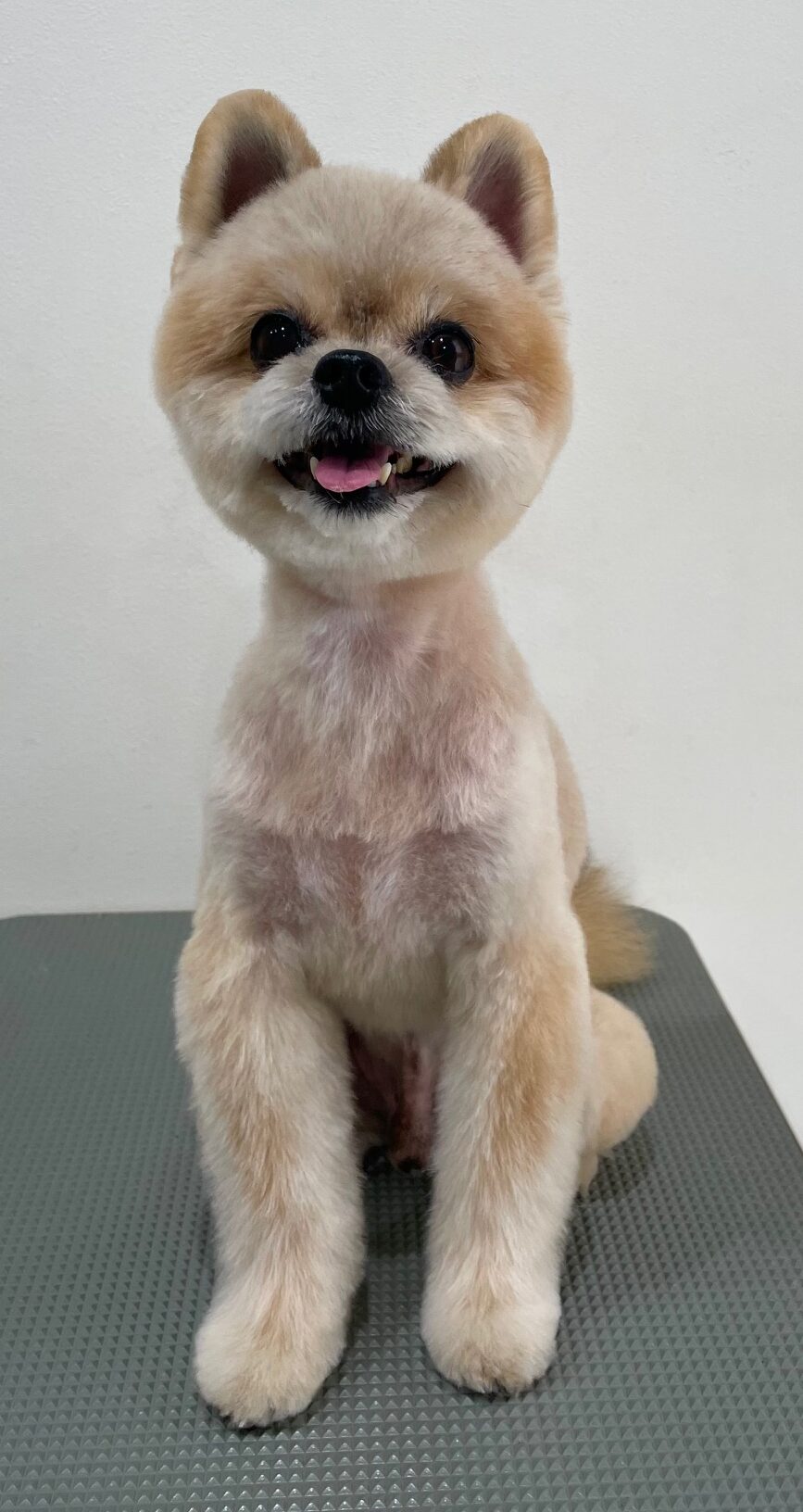 2025-12-19%e4%b8%ad%e6%b4%a5%e5%b7%9d%e3%83%ac%e3%82%aa