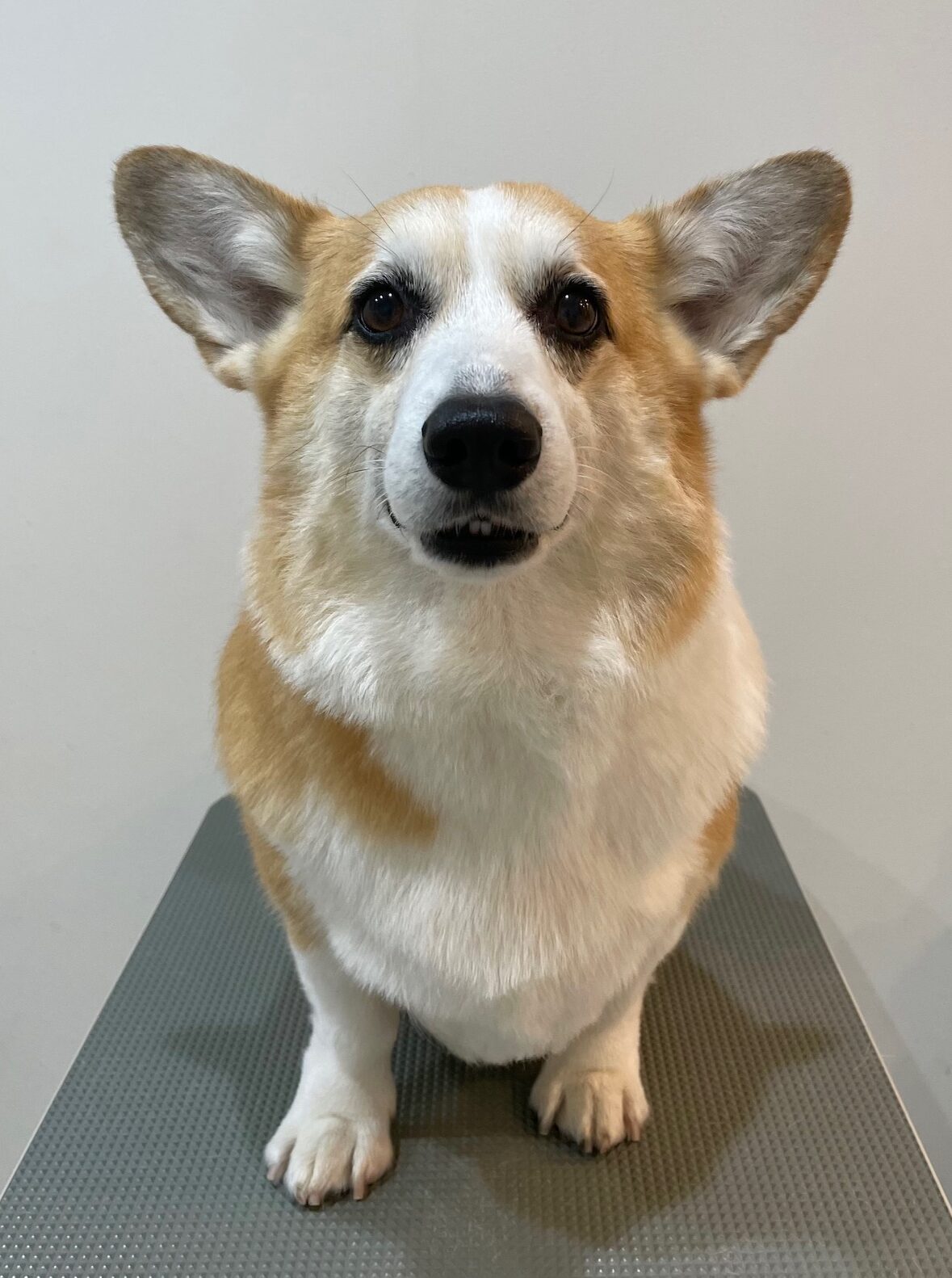 2025-12-19%e5%a5%a5%e6%b4%a5%e3%81%8f%e3%81%85