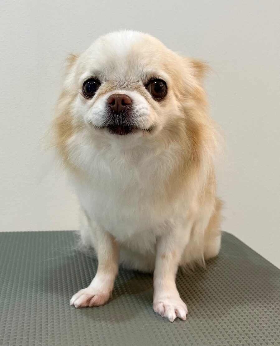 2025-12-19%e8%8f%85%e5%8e%9f%e3%81%95%e3%81%8f%e3%82%89