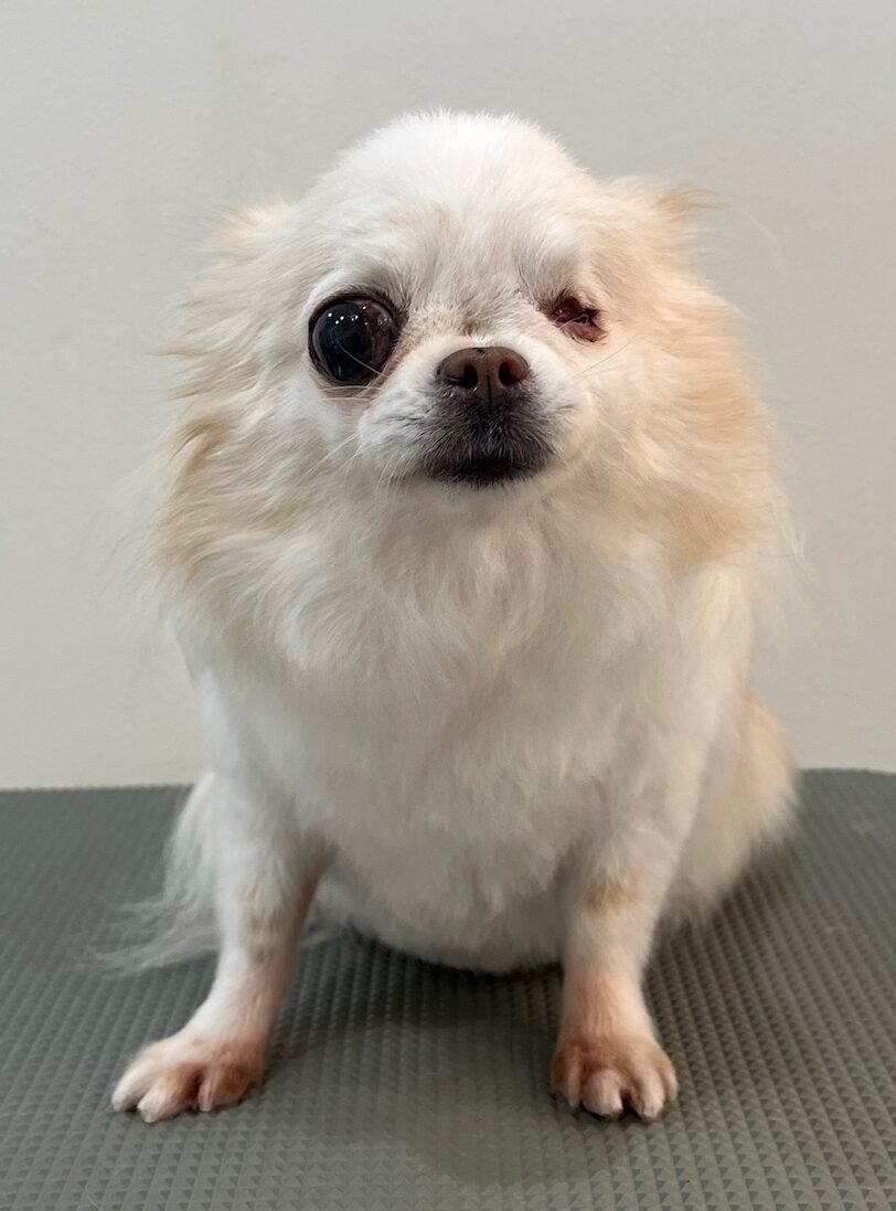 2025-12-19%e8%8f%85%e5%8e%9f%e3%83%81%e3%83%a3%e3%82%a4