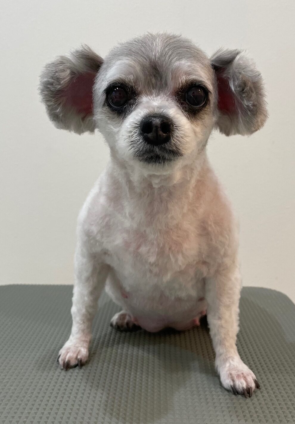 2025-12-21%e5%bb%a3%e7%94%b0%e3%81%82%e3%82%93%e3%81%aa