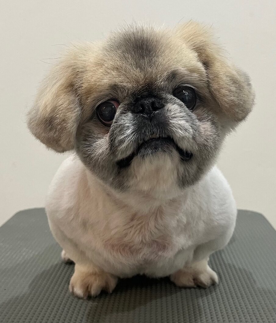 2025-12-21%e6%9d%91%e7%94%b0%e3%82%8a%e3%82%93%e3%81%94