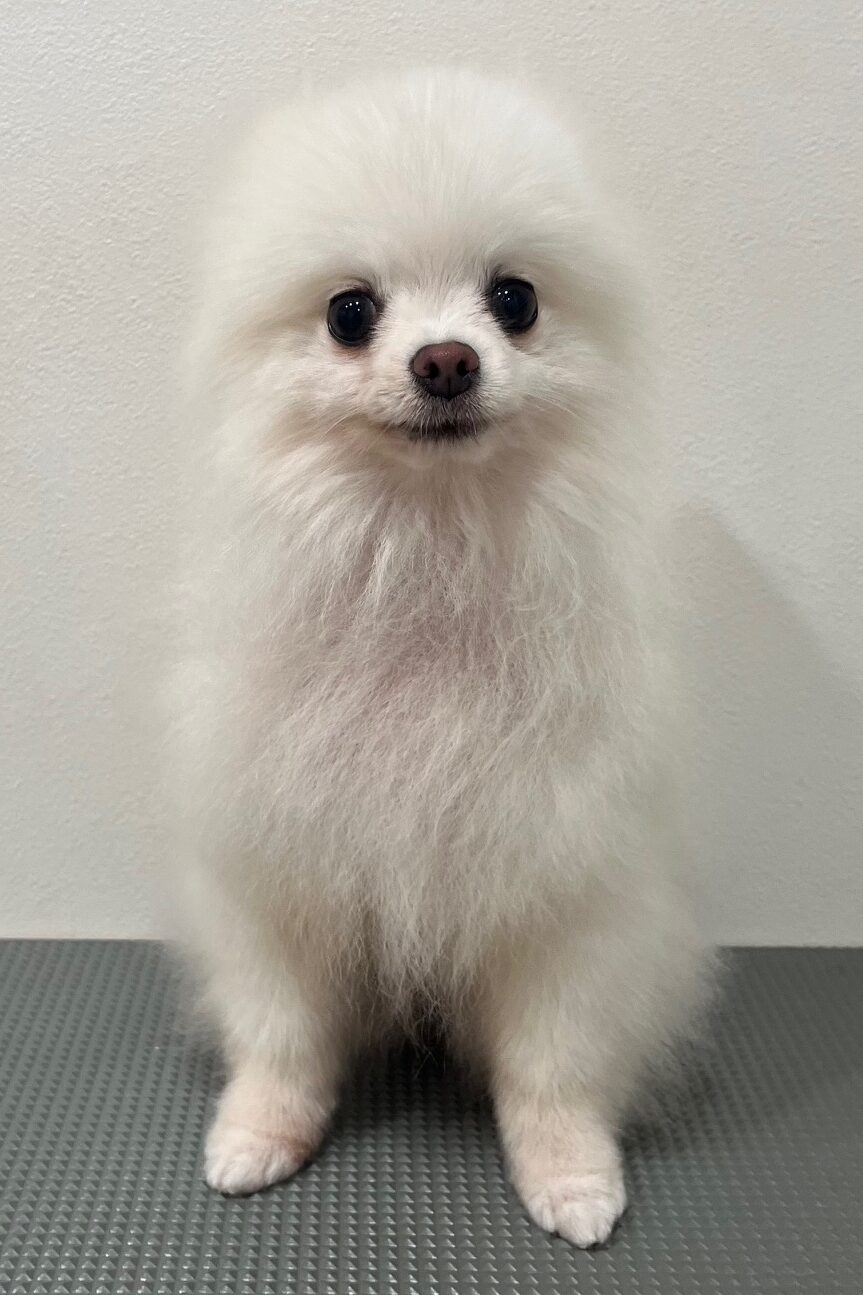 2025-12-21%e6%a9%8b%e6%9c%ac%e7%be%bd%e7%a9%ba