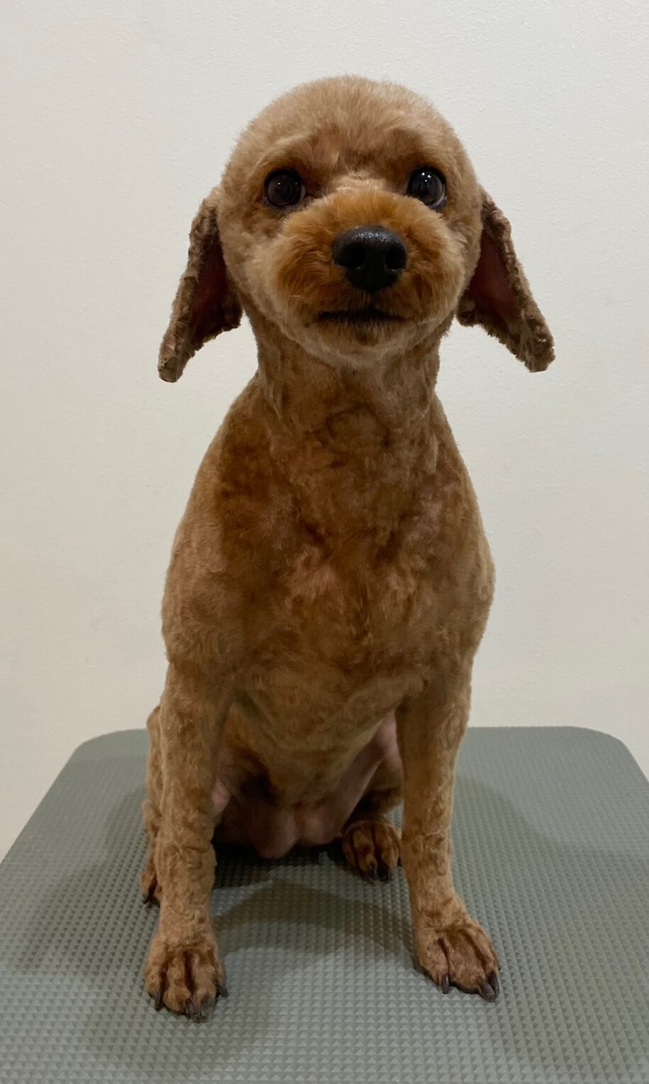 2025-12-21%e8%ab%b8%e6%98%9f%e5%b0%8f%e9%9b%aa