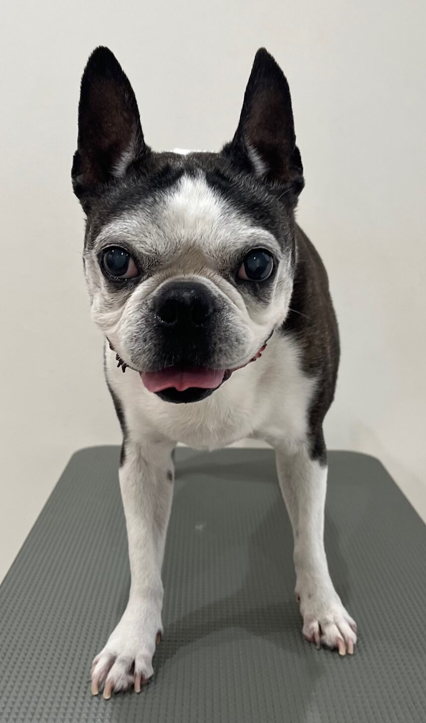 2025-12-21%e8%b1%8a%e5%b7%bb%e3%83%ab%e3%83%bc%e3%82%af