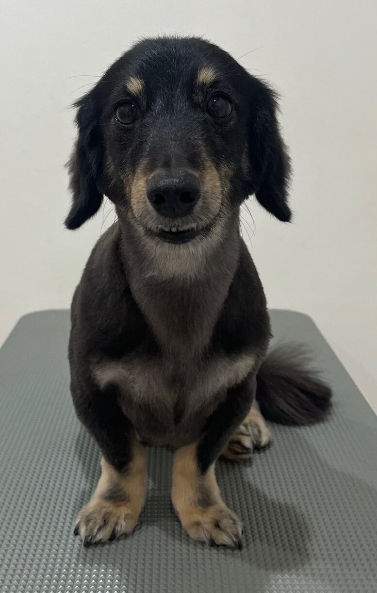 2025-12-22%e6%9d%89%e6%9d%91%e3%82%89%e3%82%93