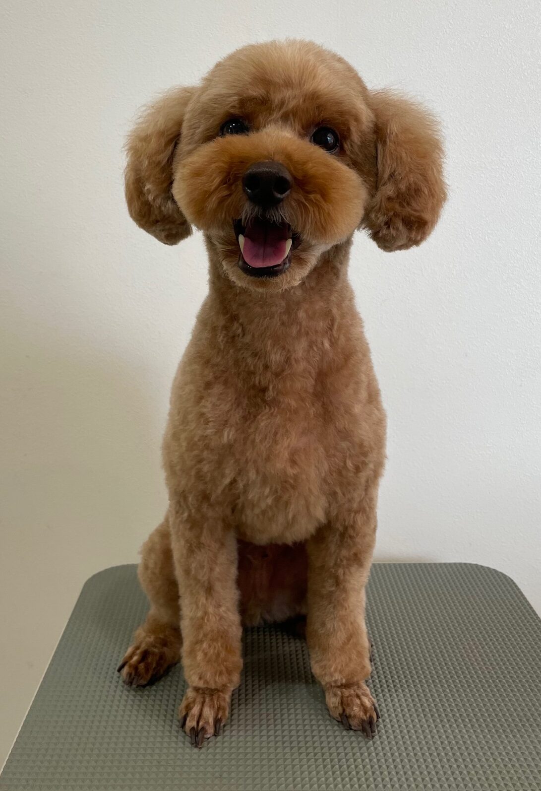 2025-12-22%e6%b8%a1%e9%82%89%e3%81%ad%e3%82%8b