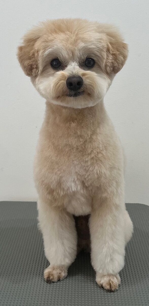 2025-12-22%e7%b1%94%e7%94%b0%e3%81%a1%e3%82%83%e3%81%a1%e3%82%83%e4%b8%b8