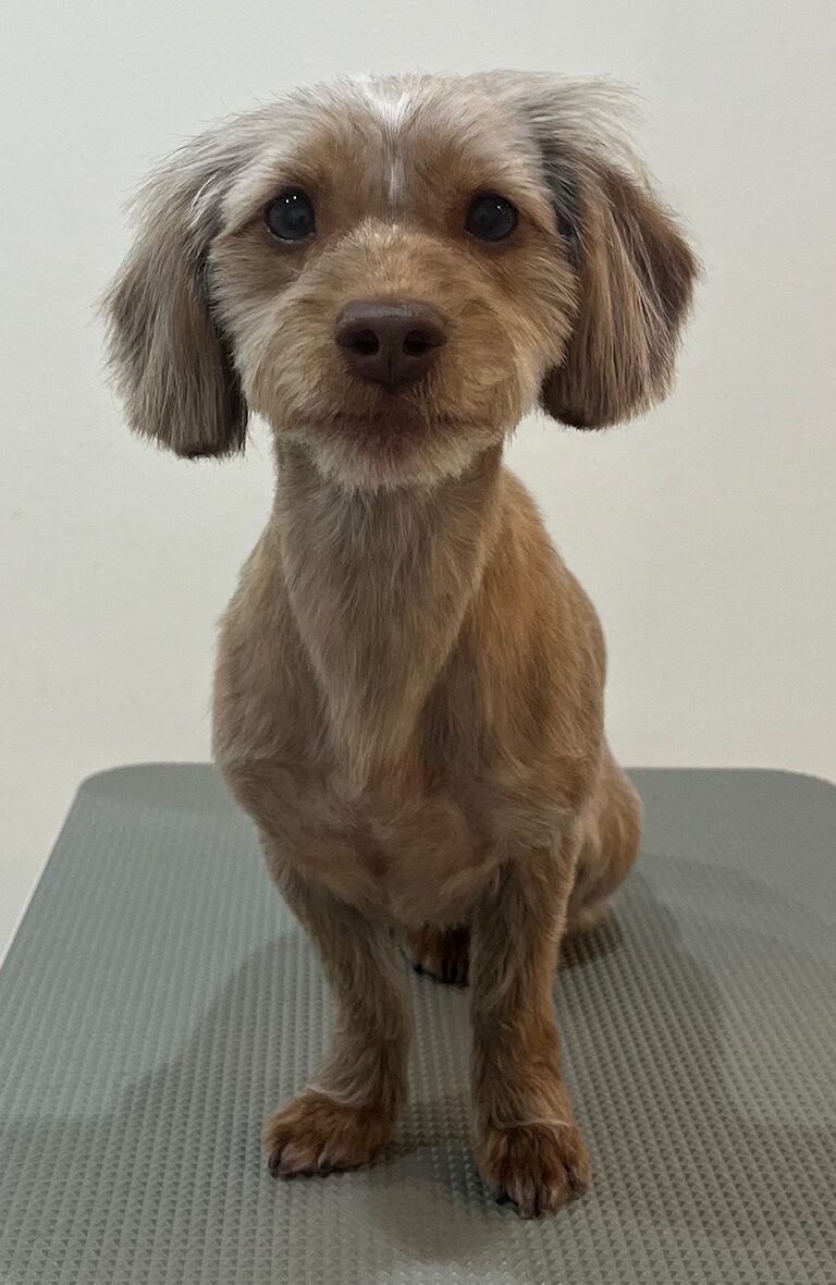 2025-12-23%e4%b8%8b%e7%94%b0%e3%81%a8%e3%82%8f