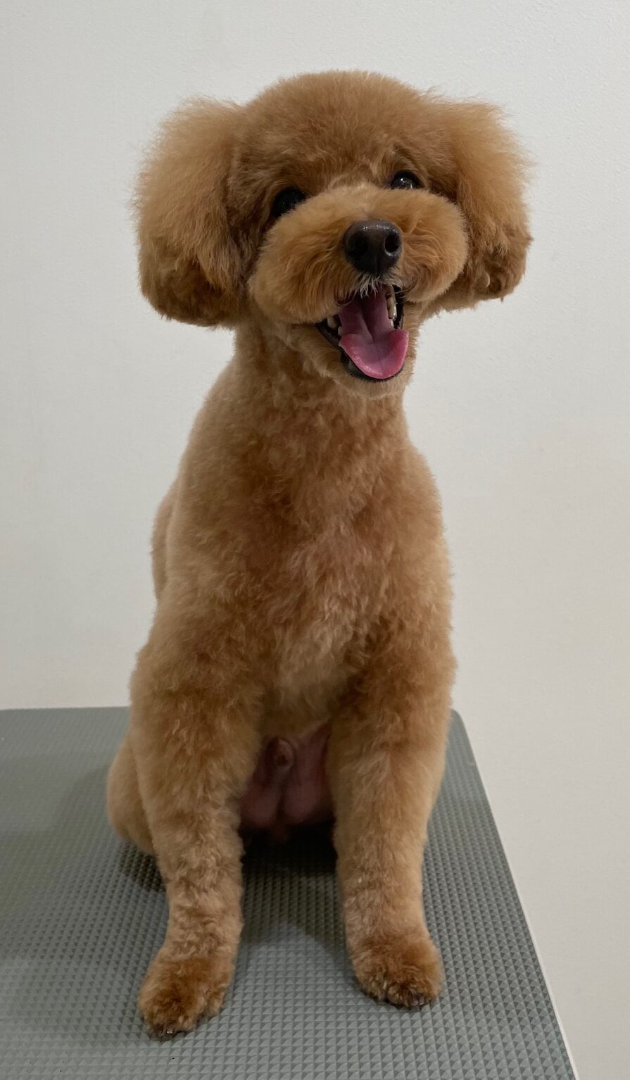 2025-12-23%e4%bc%8a%e8%b1%86%e5%b7%9d%e7%a9%ba%e6%9d%a5