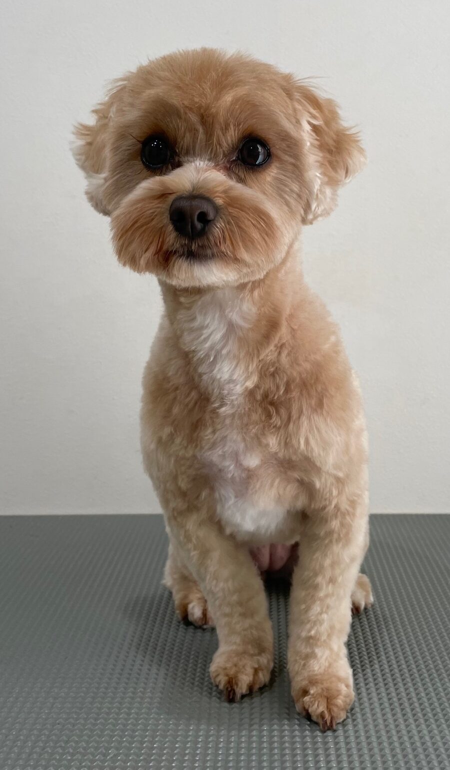 2025-12-23%e5%b9%b8%e7%9c%9f%e3%81%b7%e3%81%b7