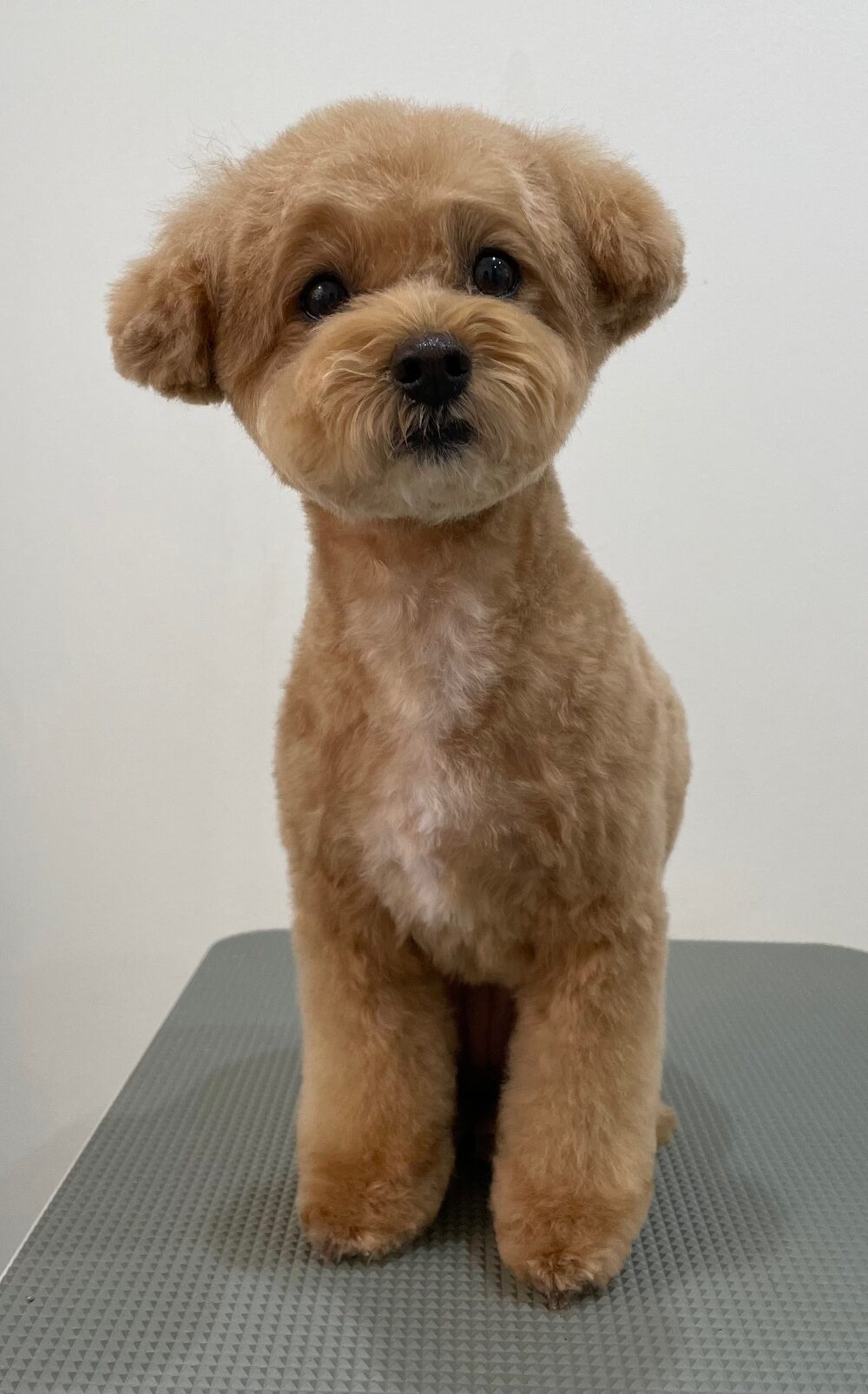 2025-12-23%e7%89%87%e5%b2%a1%e3%82%86%e3%81%9a