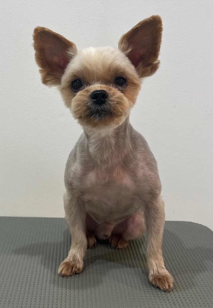 2025-12-23%e8%bf%91%e8%97%a4%e6%96%b0%e5%85%ab