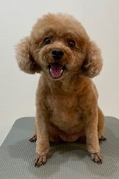 2025-12-24%e5%b0%8f%e9%87%8e%e3%81%8f%e3%81%85