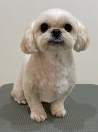 2025-12-24%e7%9f%b3%e9%bb%92%e3%81%8f%e3%81%86