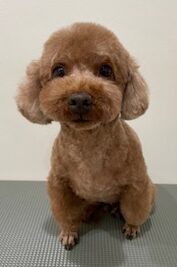 2025-12-24%e8%97%a4%e7%94%b0%e3%82%af%e3%83%ac%e3%82%a2