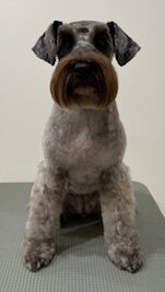 2025-12-24%e8%97%a4%e7%94%b0%e3%82%af%e3%83%ad%e3%82%a8