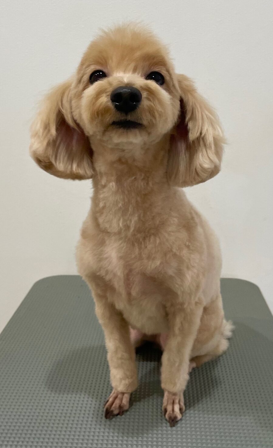 2025-12-26%e5%8f%a4%e5%b7%9dloco