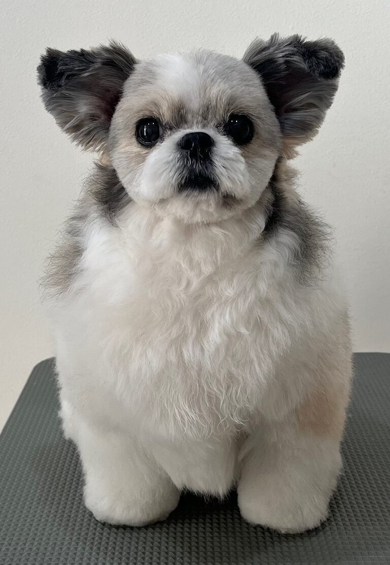 2025-12-26%e5%a4%9a%e5%96%9c%e3%81%8a%e3%81%af%e3%81%8e