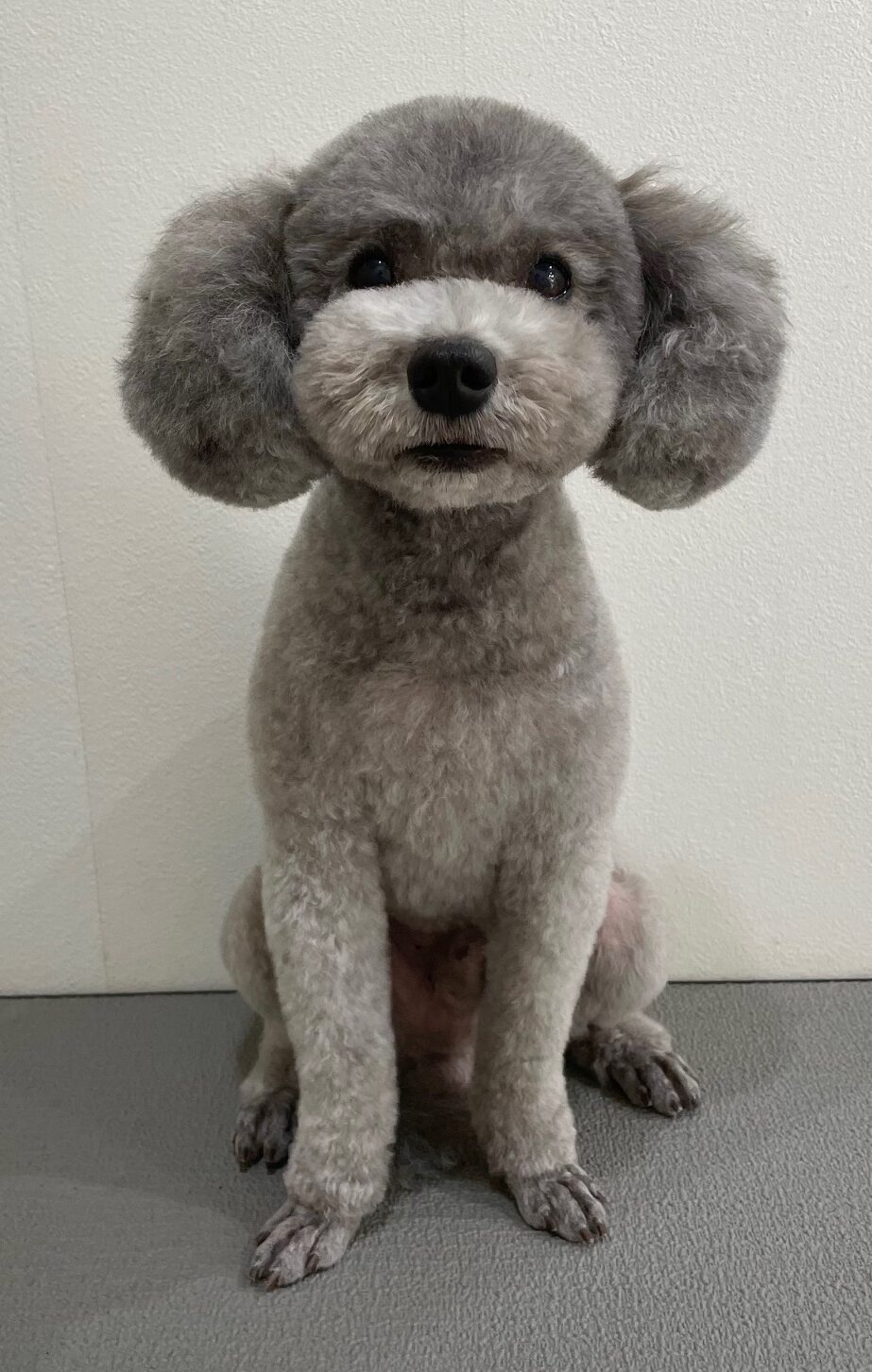 2025-12-26%e6%a9%8b%e6%9c%ac%e3%81%93%e3%81%92%e3%81%9f%e3%82%8d%e3%81%86