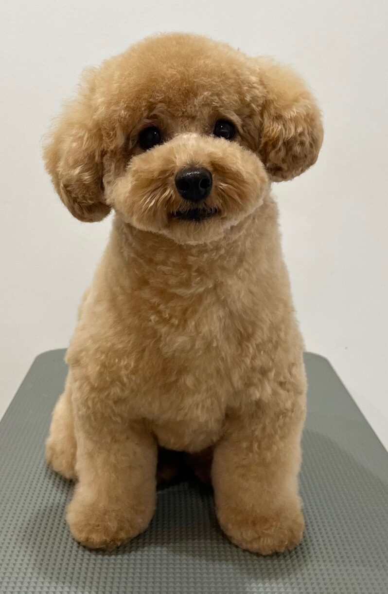 2025-12-26%e6%b0%b8%e7%94%b0%e3%81%86%e3%82%86