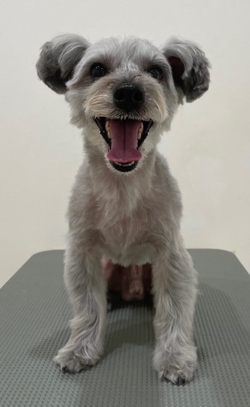 2025-12-26%e9%ab%99%e6%a9%8b%e3%82%af%e3%83%bc