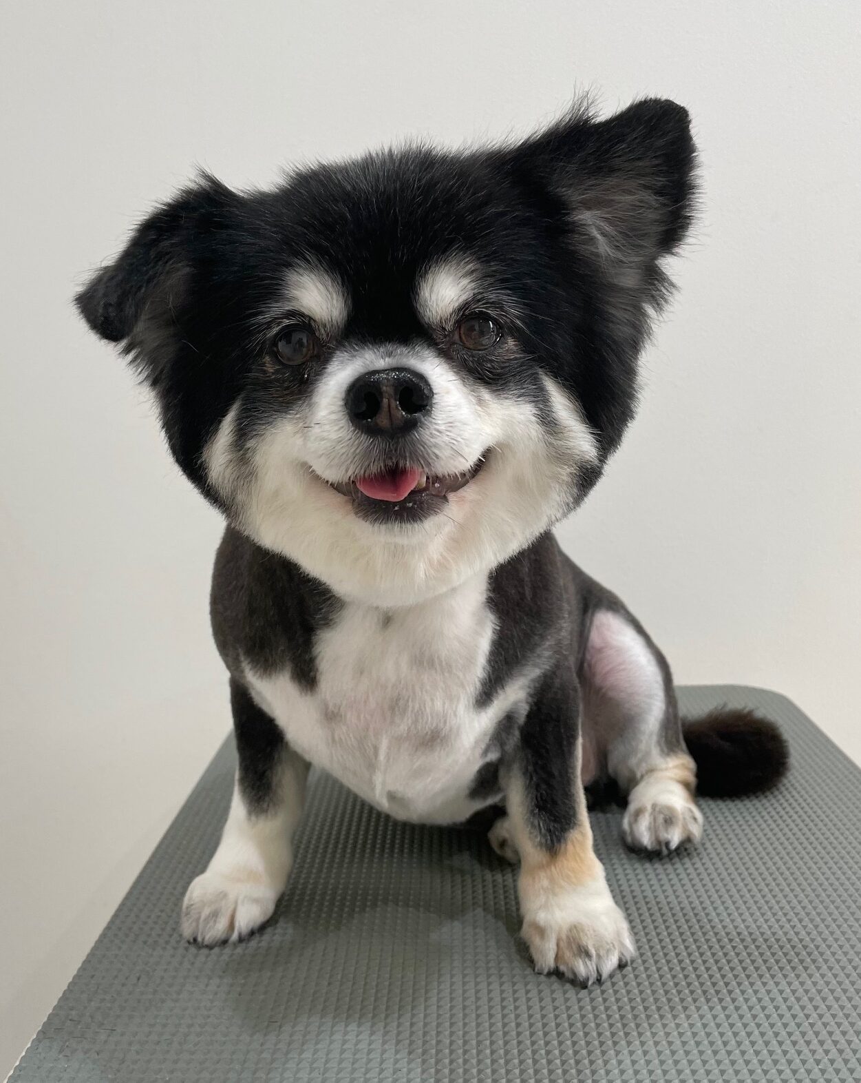 2025-12-28%e4%bd%90%e8%97%a4%e3%83%ac%e3%82%aa