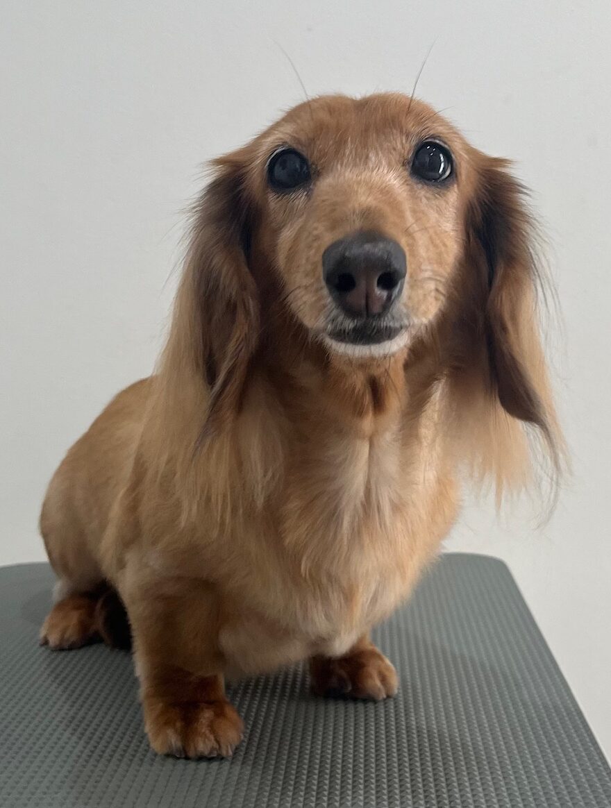 2025-12-28%e5%a4%a7%e5%a0%80%e7%88%bd%e5%ad%90