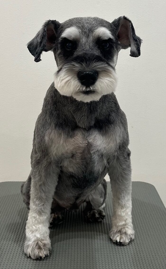 2025-12-28%e5%b0%8f%e6%b1%a0%e3%82%a2%e3%83%bc%e3%82%b9