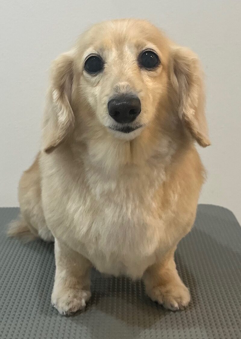 2025-12-28%e6%9d%89%e5%b4%8e%e3%82%8a%e3%82%8a