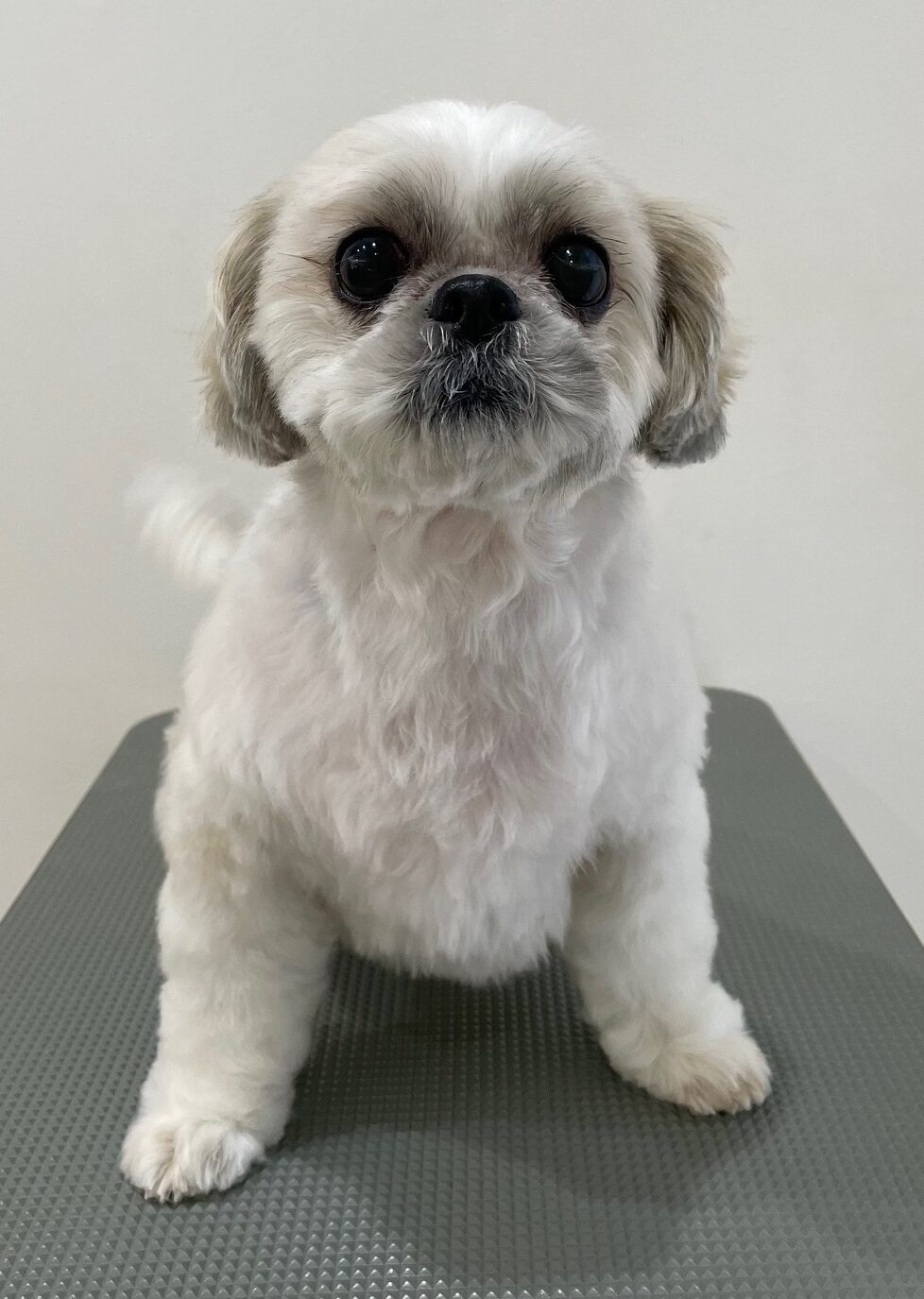 2025-12-28%e8%97%a4%e5%8e%9f%e3%81%8f%e3%82%8b%e3%81%bf