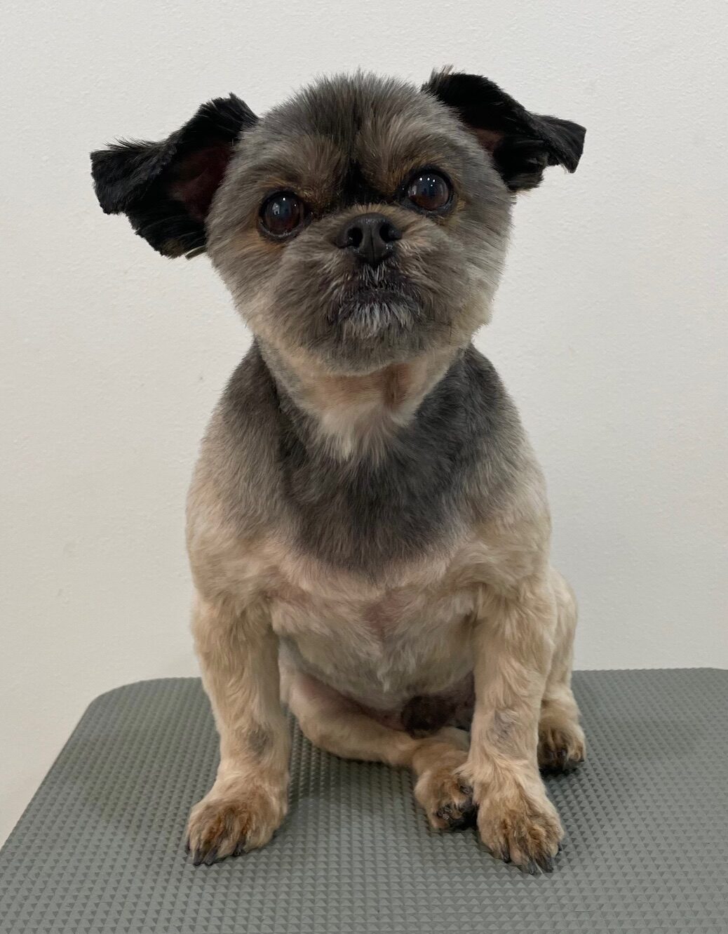 2025-12-29%e4%ba%80%e5%b1%b1%e3%83%9d%e3%83%b3%e5%a4%aa