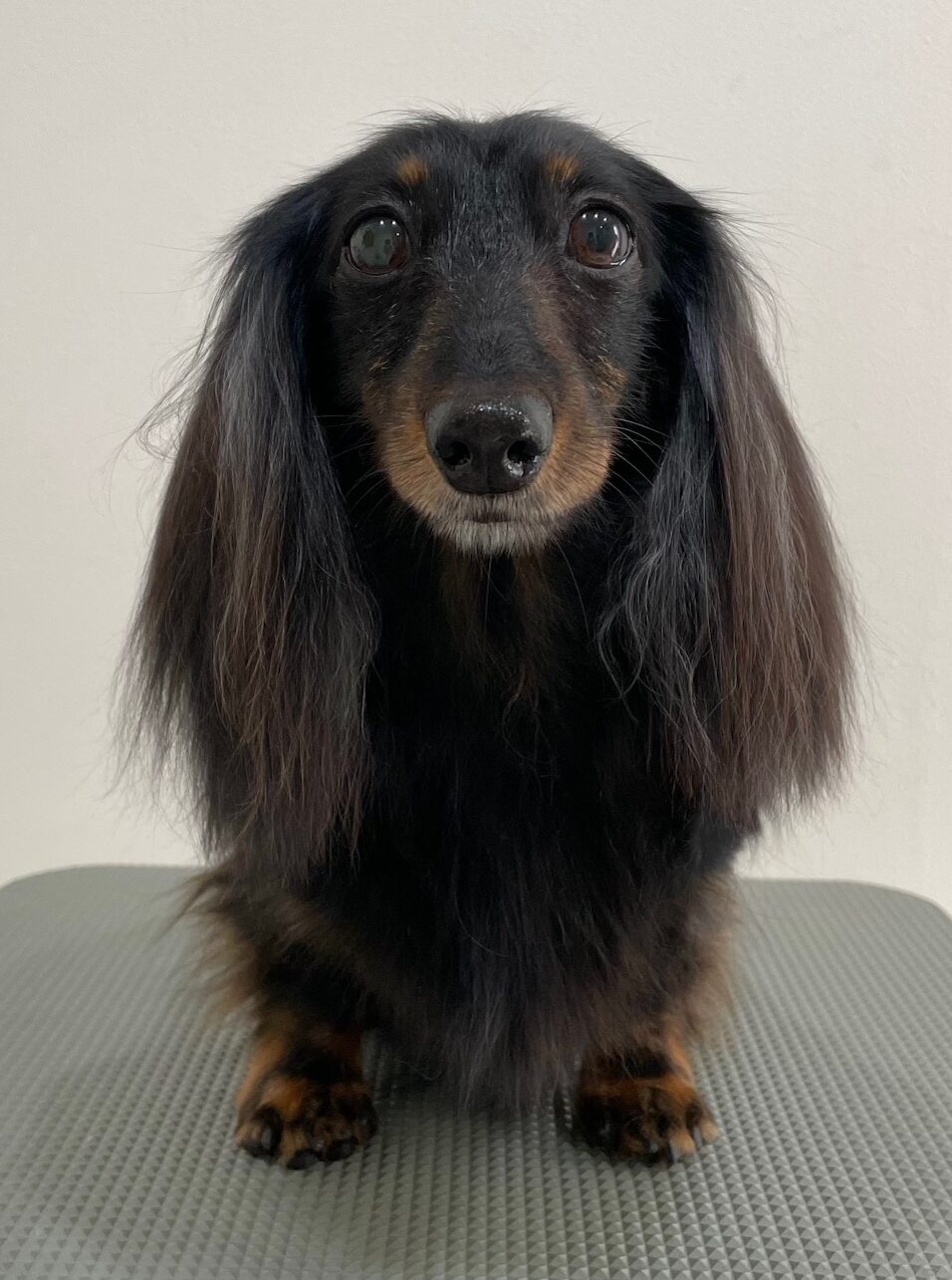 2025-12-29%e5%af%ba%e7%94%b0%e3%81%8a%e3%82%88