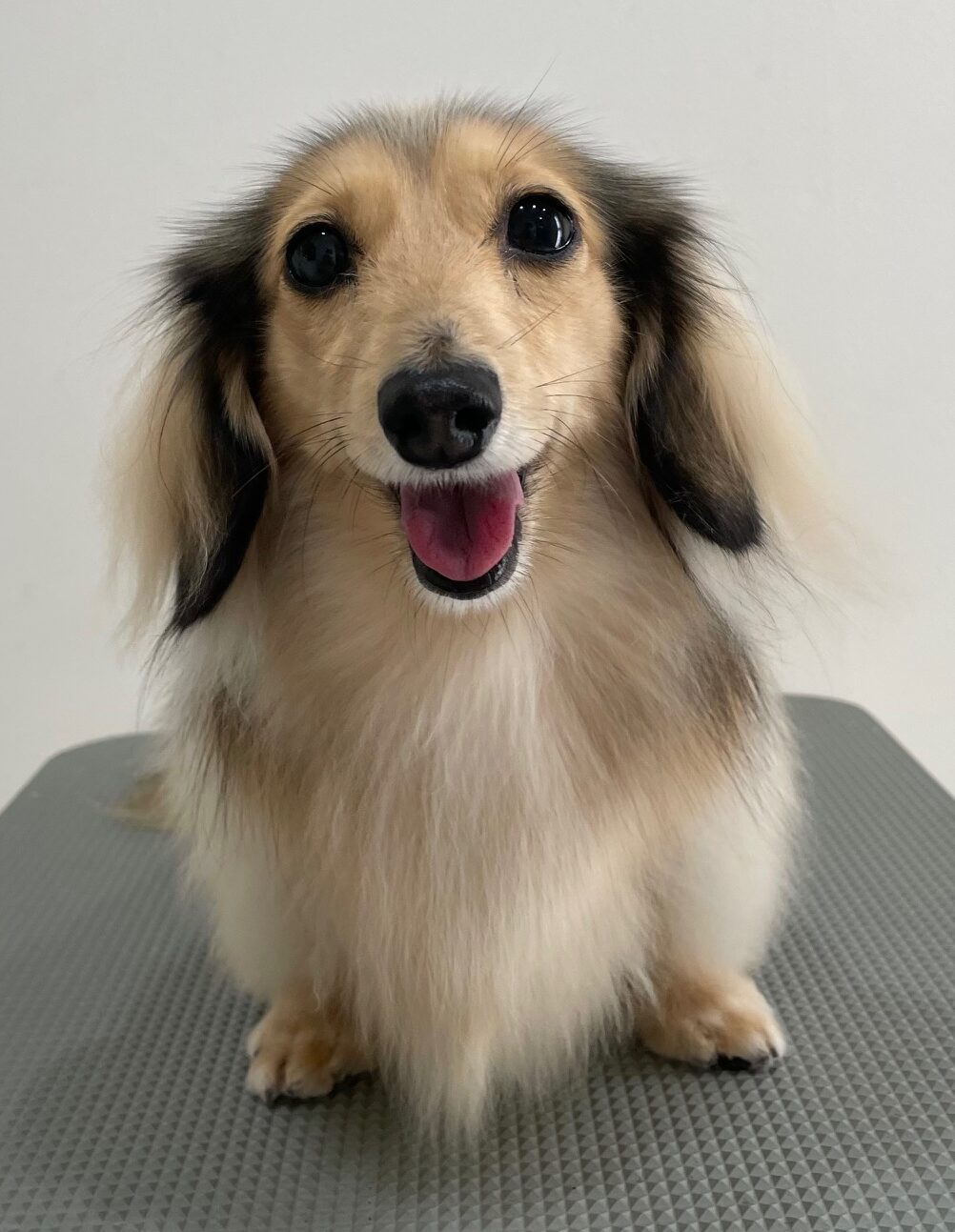 2025-12-29%e5%af%ba%e7%94%b0%e3%82%82%e3%82%8b