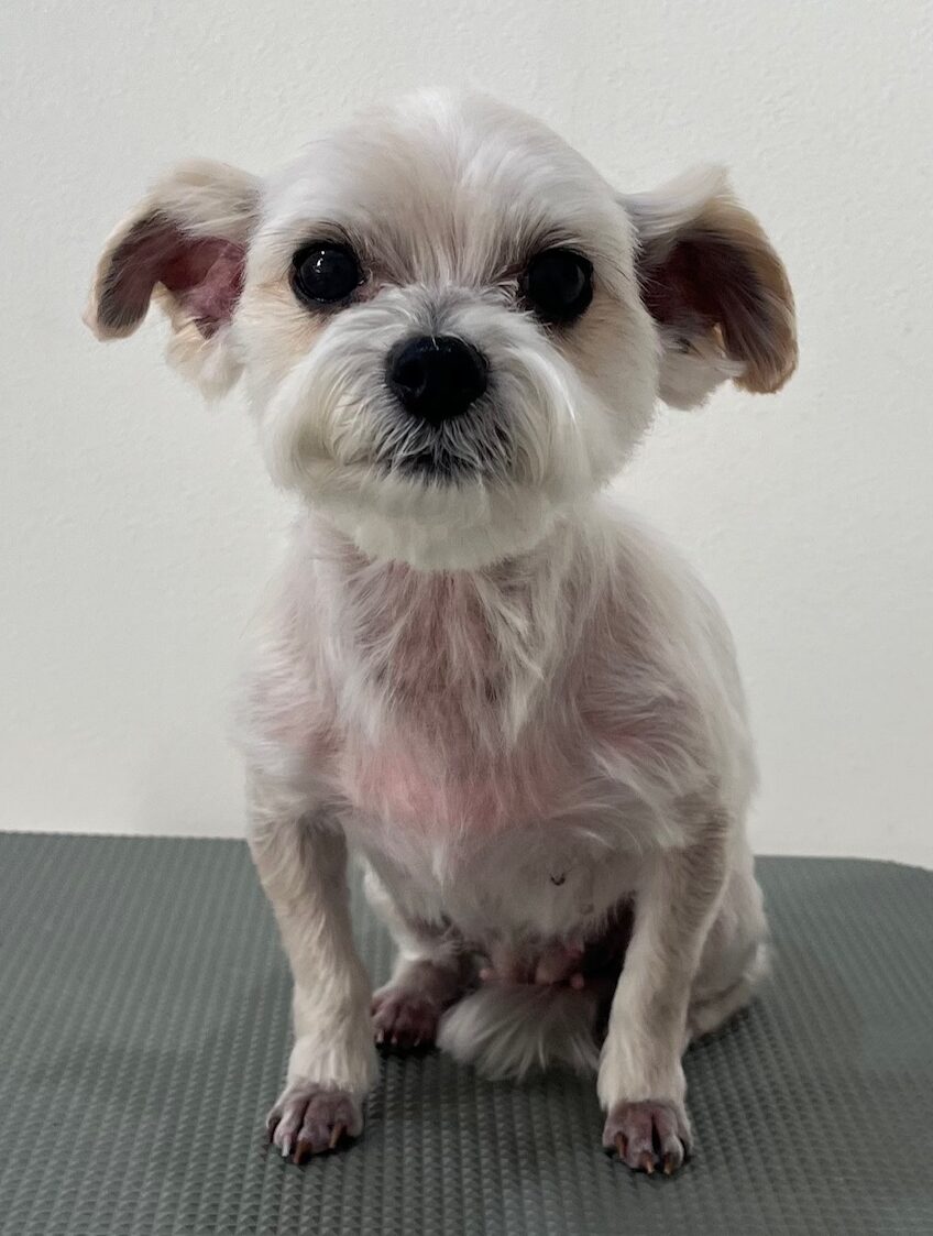 2025-12-29%e5%b0%8f%e6%9d%be%e3%81%82%e3%81%9a%e3%81%8d