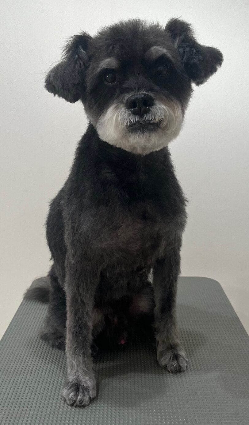 2026-1-11%e4%bd%90%e5%ae%97%e3%81%8f%e3%82%8d%e3%81%be%e3%82%8d