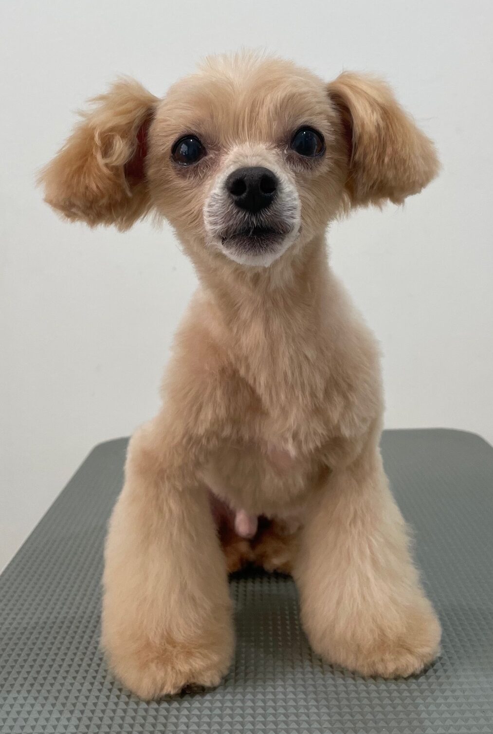 2026-1-11%e5%8a%a0%e8%97%a4%e3%83%81%e3%83%bc%e3%82%ba