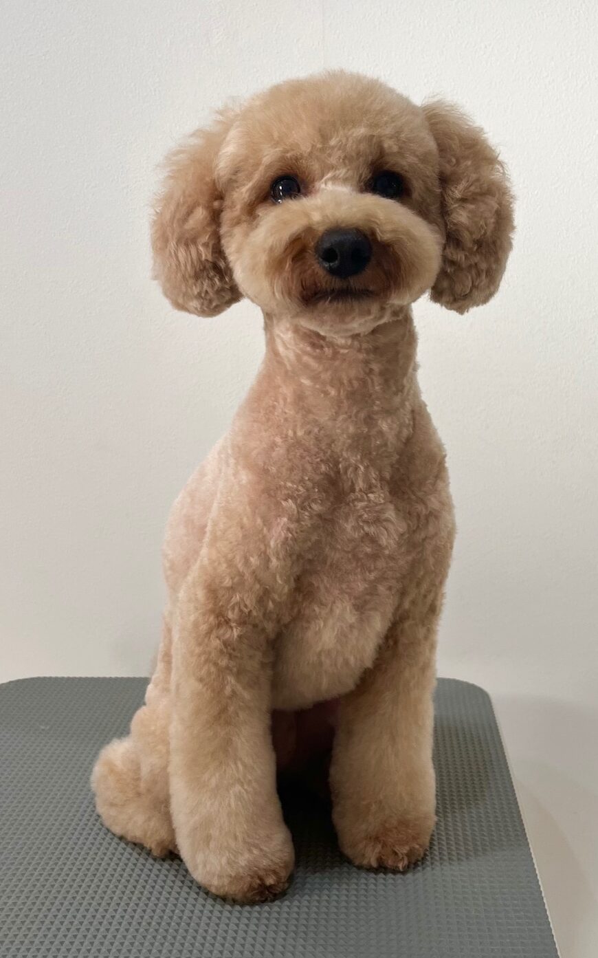 2026-1-13%e5%87%ba%e9%87%8e%e3%82%82%e3%82%82%e3%81%8b