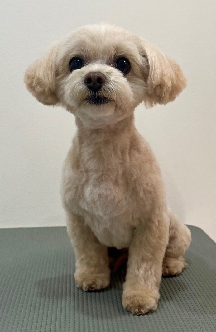 2026-1-13%e5%8a%a0%e8%97%a4%e3%83%9e%e3%83%ad%e3%83%b3