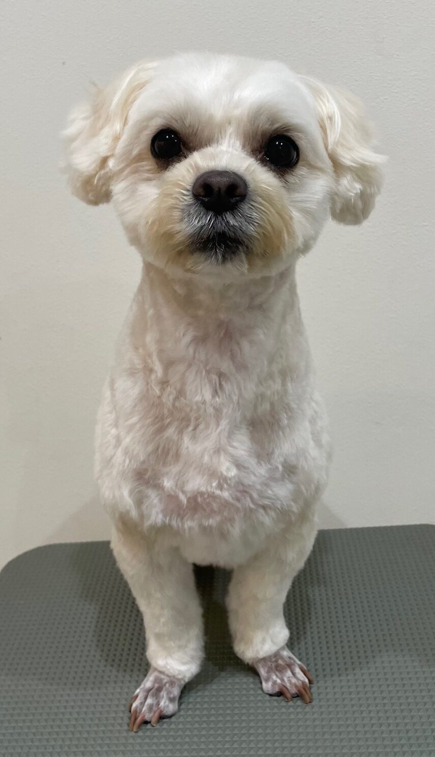 2026-1-13%e6%9d%be%e4%ba%95%e3%81%93%e3%82%8d