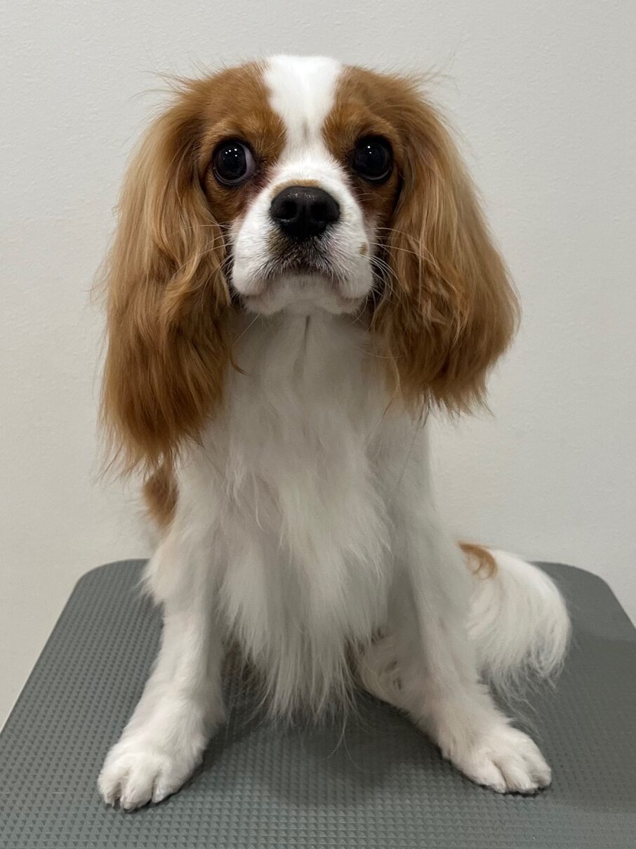 2026-1-13%e6%9d%be%e5%b3%b6%e3%82%a8%e3%83%8a