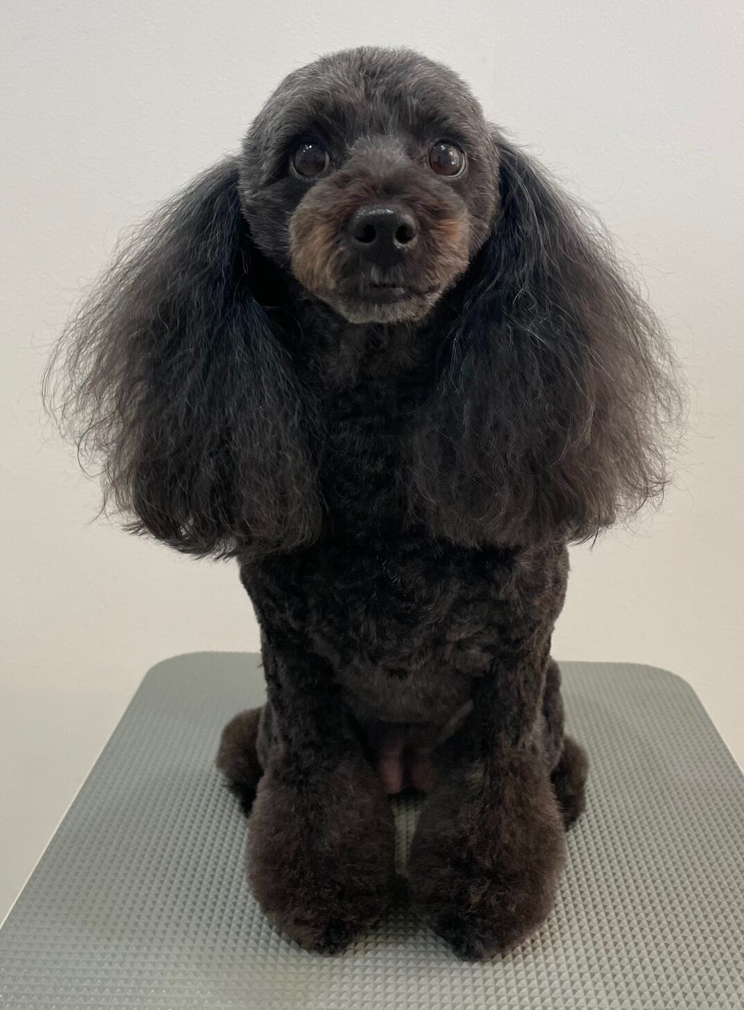 2026-1-13%e9%ab%99%e7%94%b0%e3%83%a2%e3%82%b3