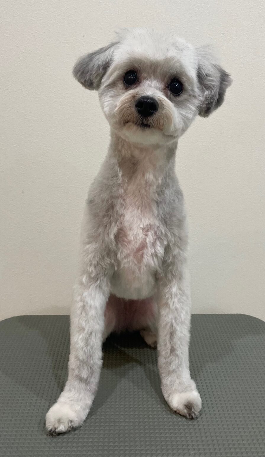 2026-1-14%e4%b8%ad%e6%9d%91%e3%81%be%e3%82%8b