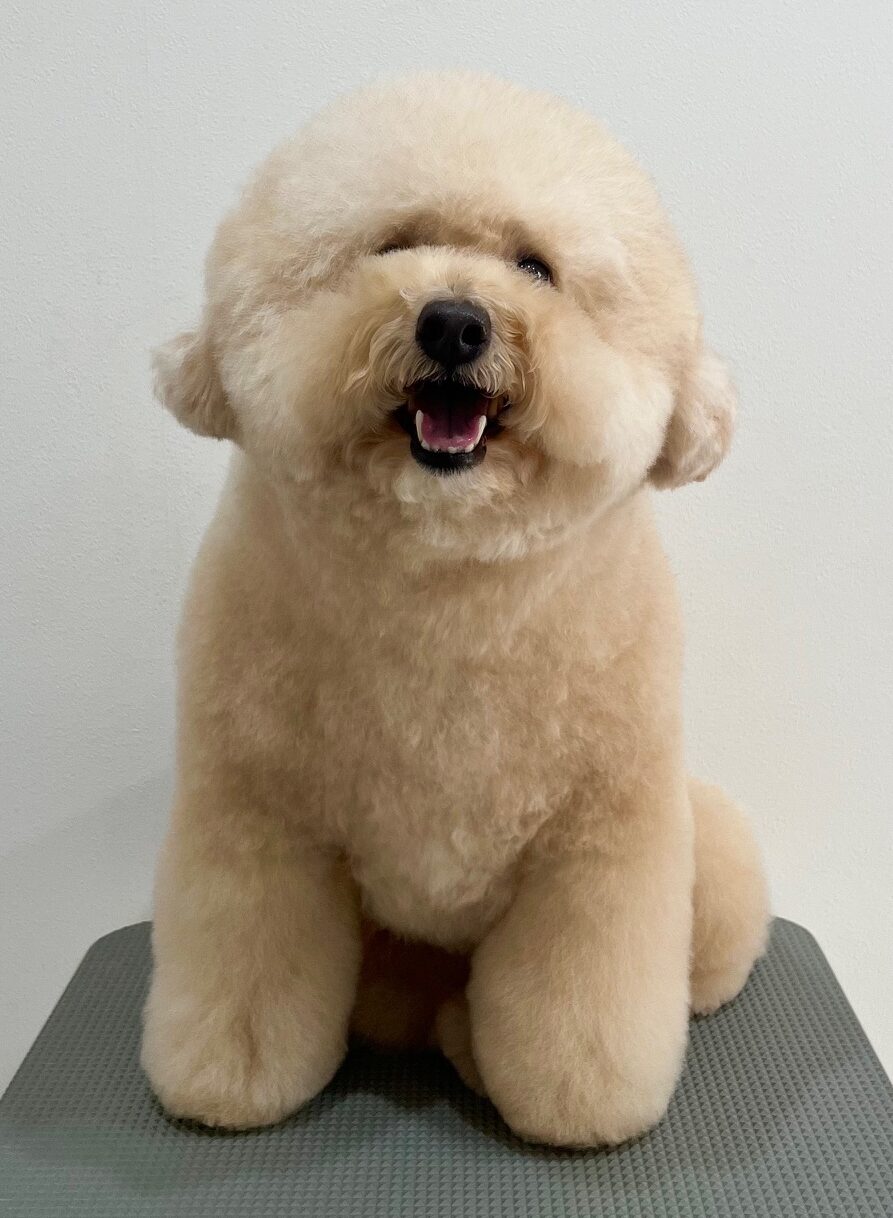 2026-1-14%e5%b0%8f%e6%9e%97%e3%83%ad%e3%83%a0